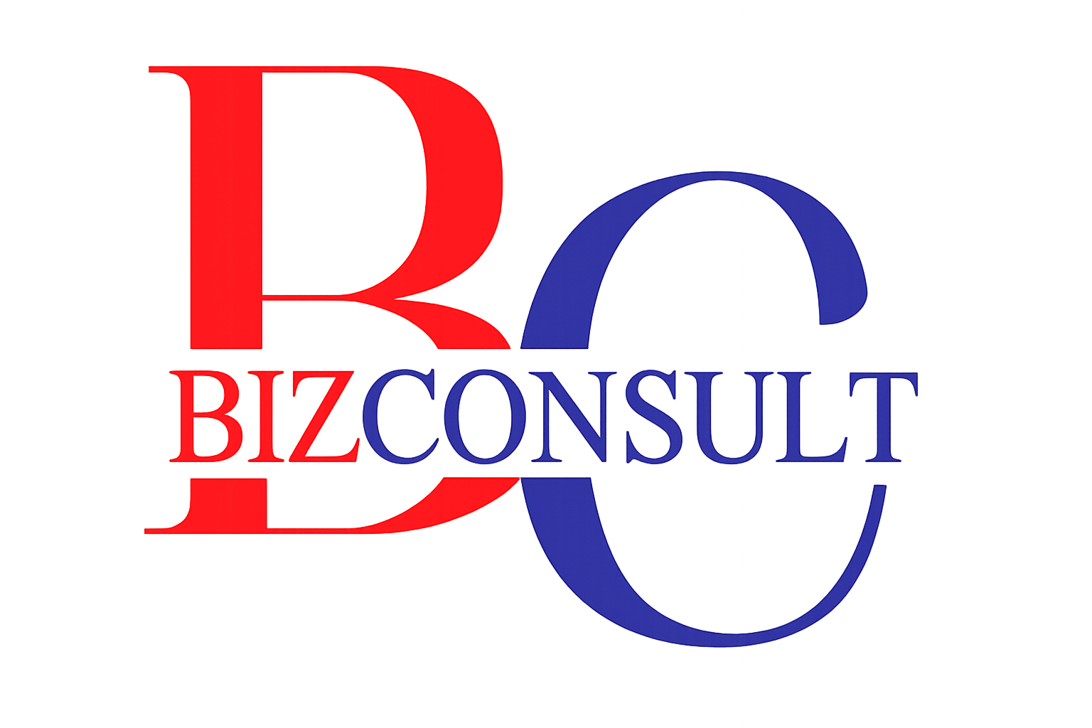BizConsult Transparent logo